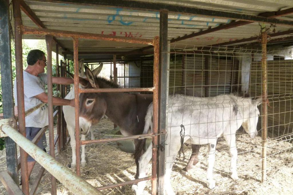 Finca Los Burros Totalan ภายนอก รูปภาพ