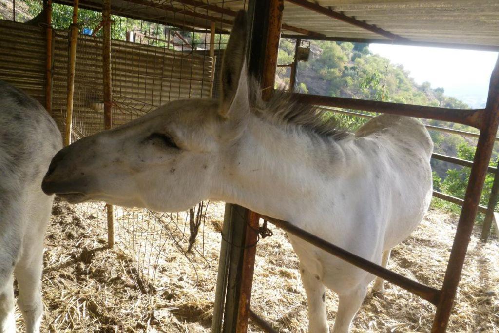 Finca Los Burros Totalan ภายนอก รูปภาพ