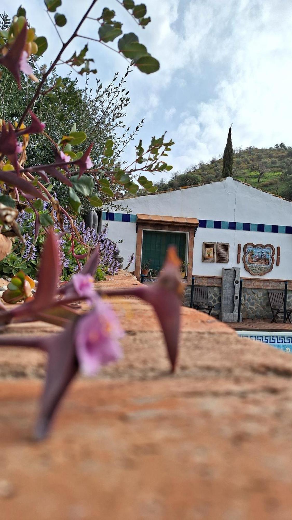 Finca Los Burros Totalan ภายนอก รูปภาพ